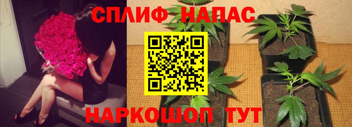МАРИХУАНА THC 21% Анапа